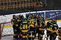 Björklöven